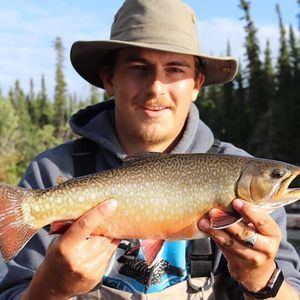 Meet your Posher, Kory